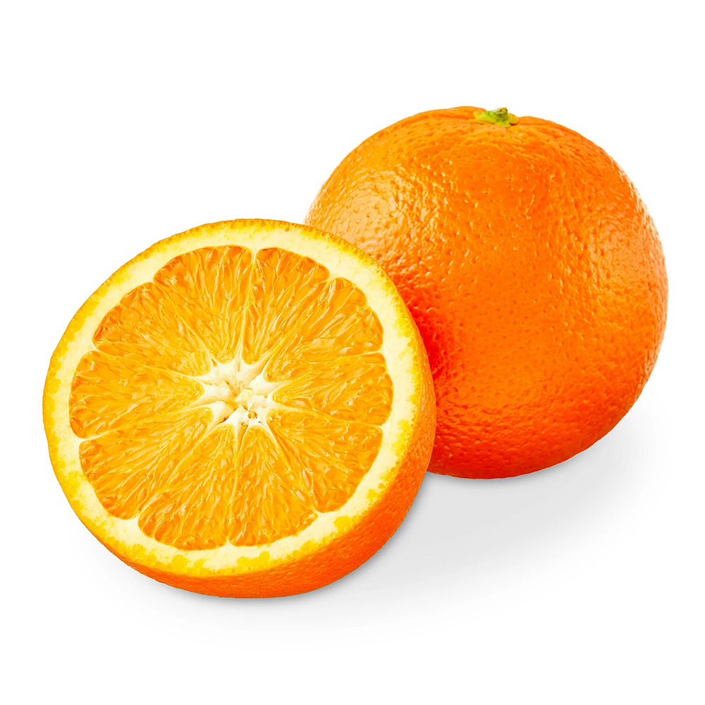 Valencia seedless hybrid orange plant - Image 2