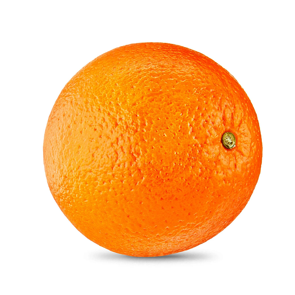 Valencia seedless hybrid orange plant - Image 3