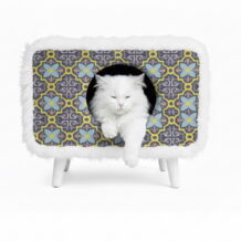 Spaghetti squash - price per pound