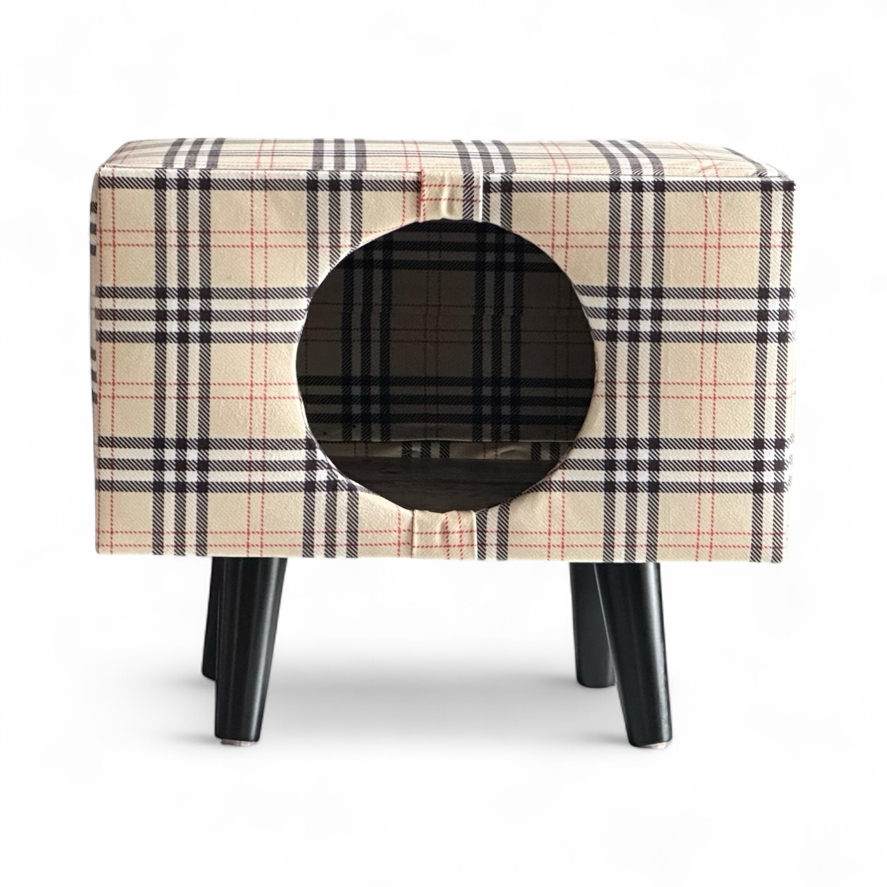 Valencia seedless hybrid orange plant